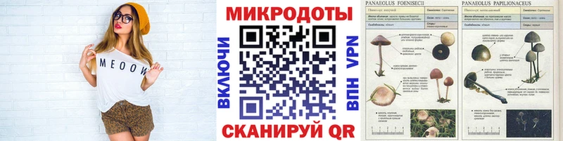 как найти закладки  Дедовск  Галлюциногенные грибы Psilocybine cubensis 