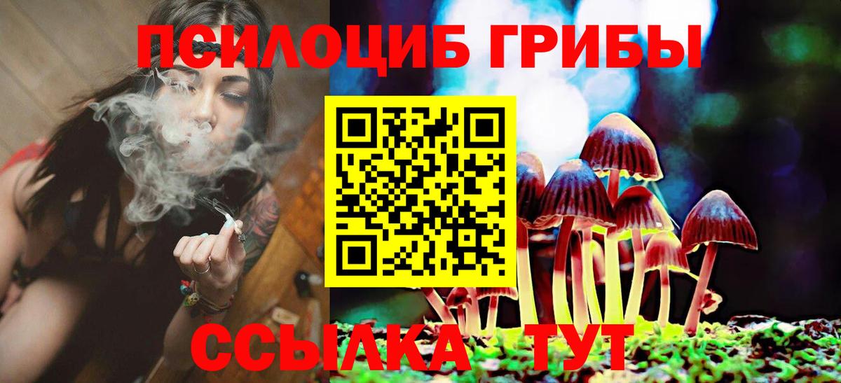 Галлюциногенные грибы Cubensis  Вход с VPN  Дедовск 